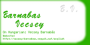 barnabas vecsey business card